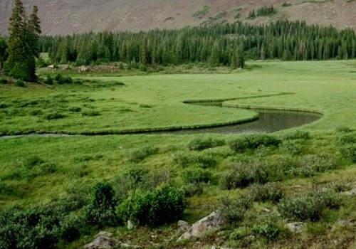 UintasMeadow DanPotts